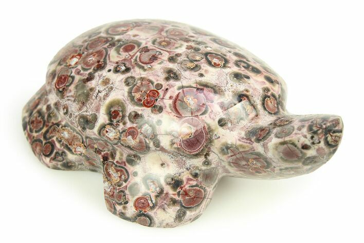 Carved Leopard Stone Turtle - Mexico #308304